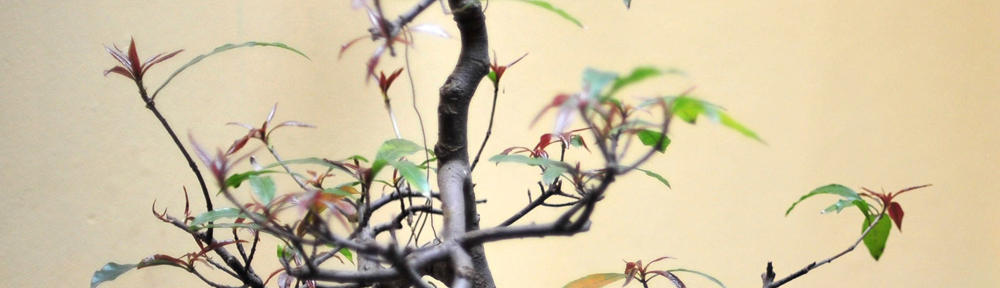 區塊鏈技術應用與挑戰